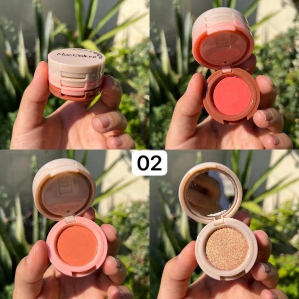 3 In 1 Blusher Highlighter Kit Package